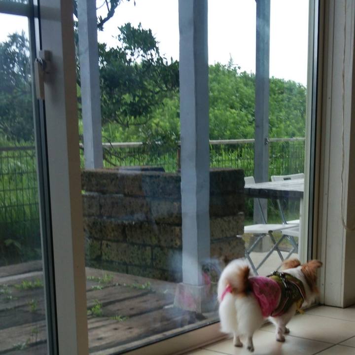 25c9911e d8f8 4b91 a50b 93fb062f9156