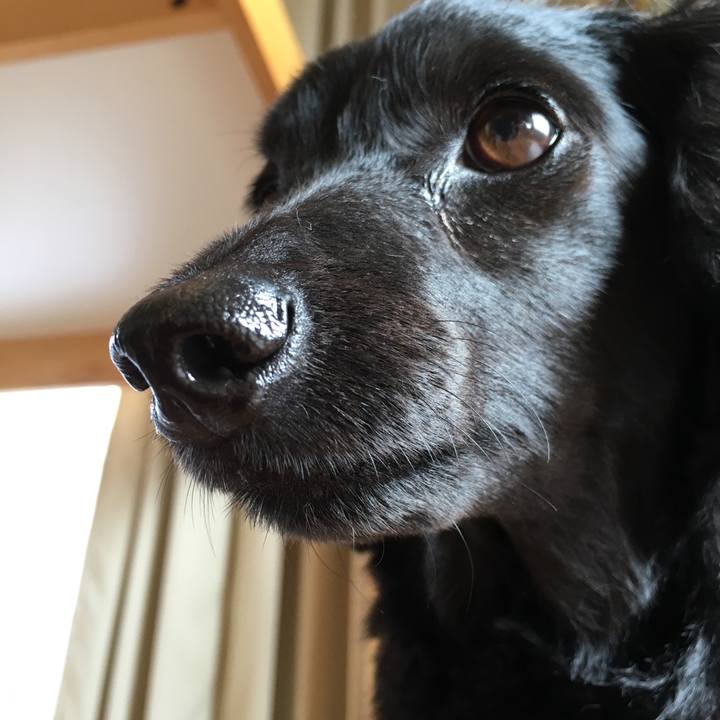 25c9d200 f4ae 4e47 afaf 93e067dd2df2