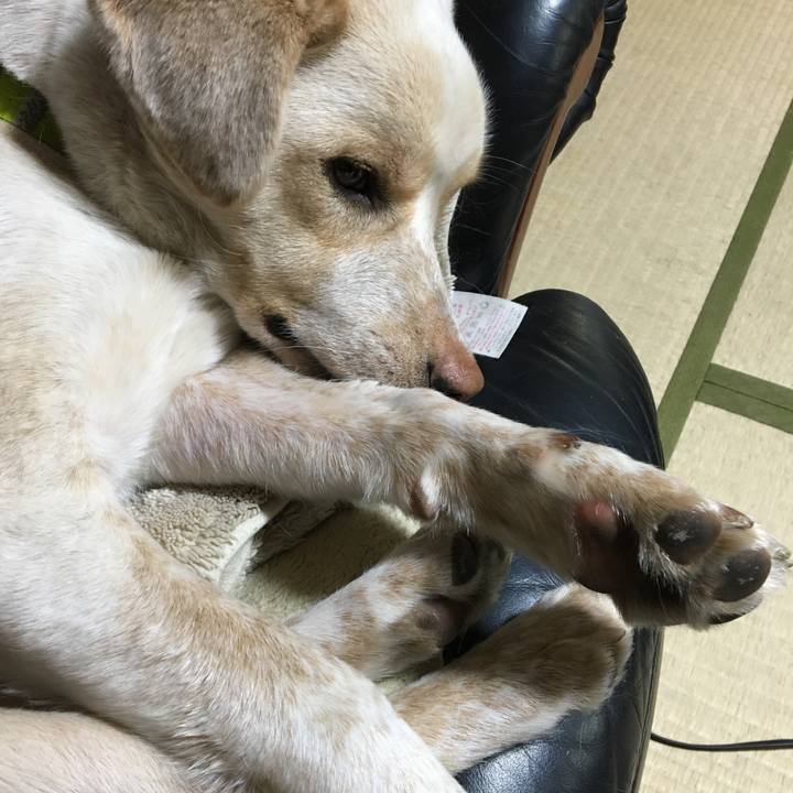 25ca3ebf 838d 44cf ac59 feab4b87898c