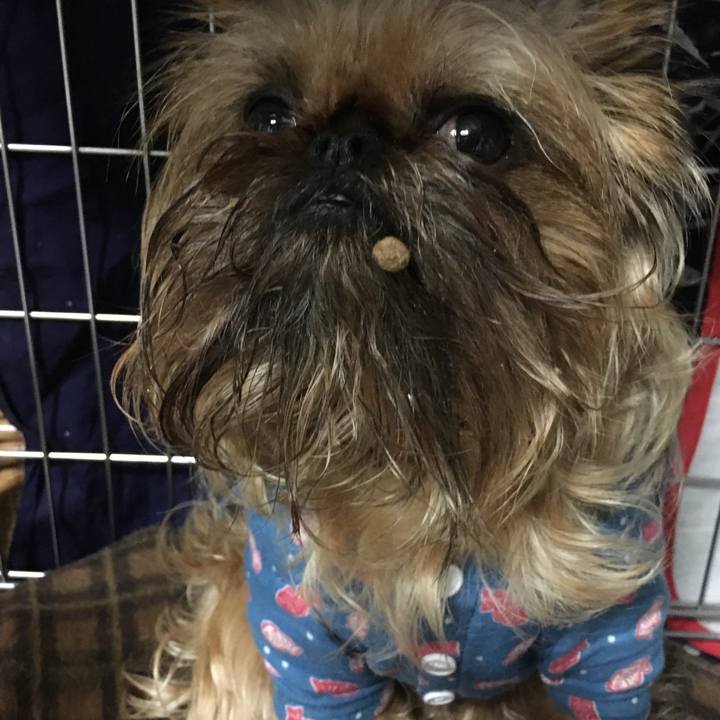 25ca5552 1772 4dc8 aa98 9d44aa019da2