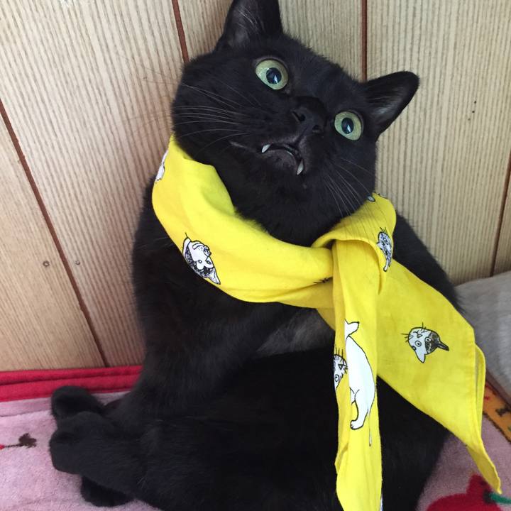 25ca7187 61ef 4654 9a74 6fb45adf1b33