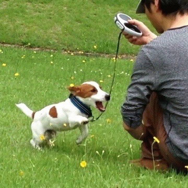 25ca8be2 fb6b 4ae3 8714 bafe53c219af