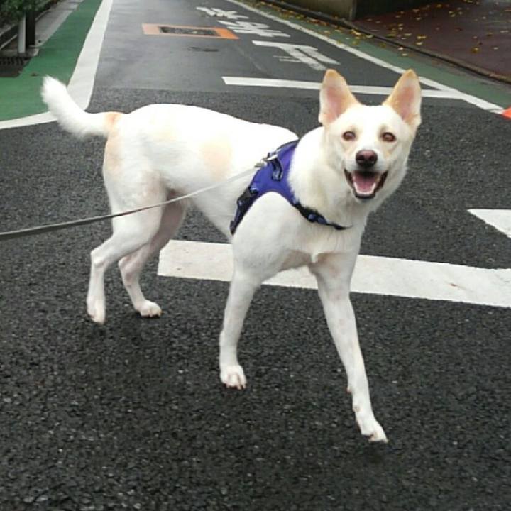 25ca9227 0b3f 400c ad23 d9fbffc9d314