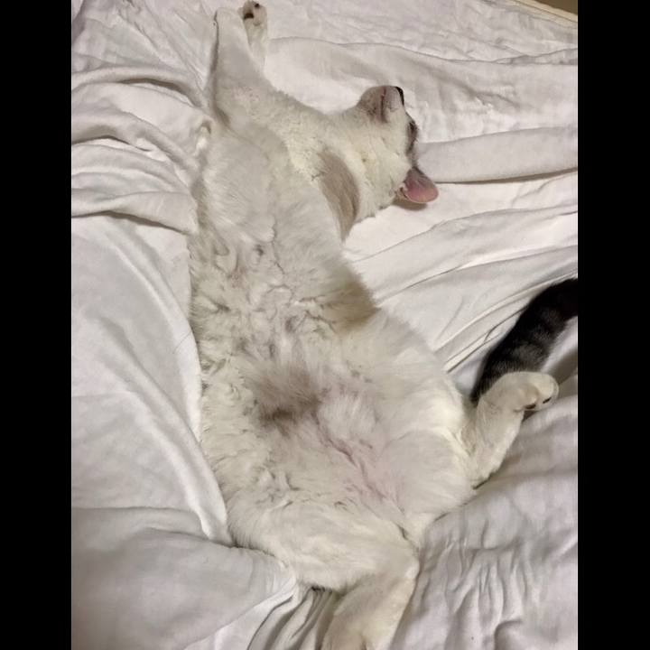 25cbfff7 ccd1 4b67 9c8d e76f54a9dd49