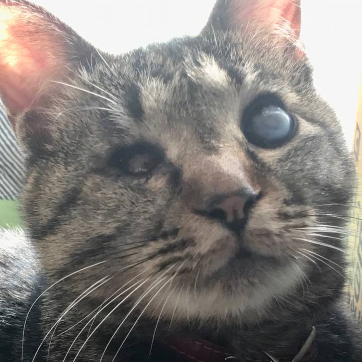 25ce1fca 5501 4d13 9018 7810427296f2