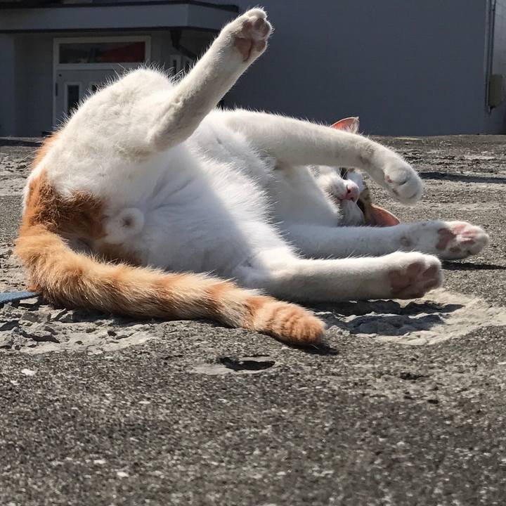 25ce5bfa 7f9d 49d3 b71f 39fcbd6346fe