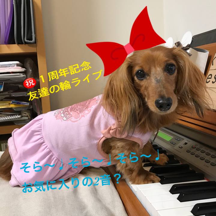 25ce78ee 4379 4aea 8a7a f224c684488c