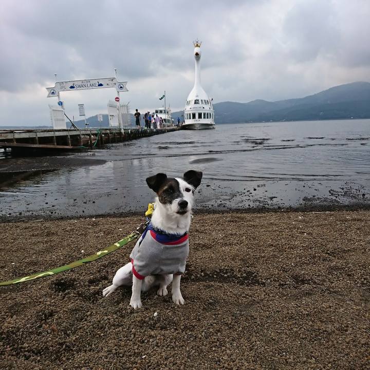 25ce8b3d 1e4a 438c 9ca5 0a5edbff519d