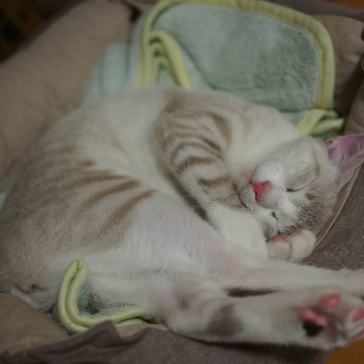 25cecb5e 775b 4d36 a8e6 8cffa4af35c7