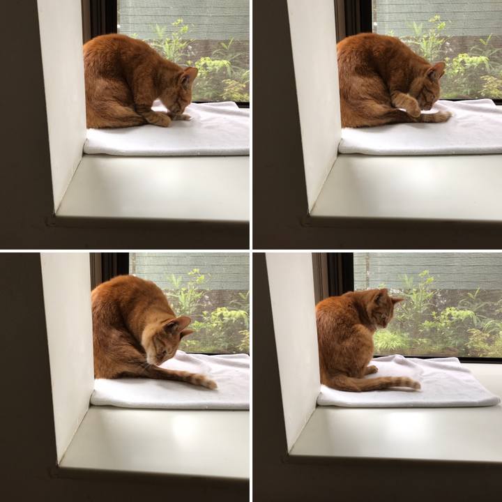 25ceeb66 d6d1 4f27 8281 58649f90df04