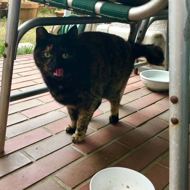 25cf15f5 8719 4e9b 9e7f 6928370f8eac