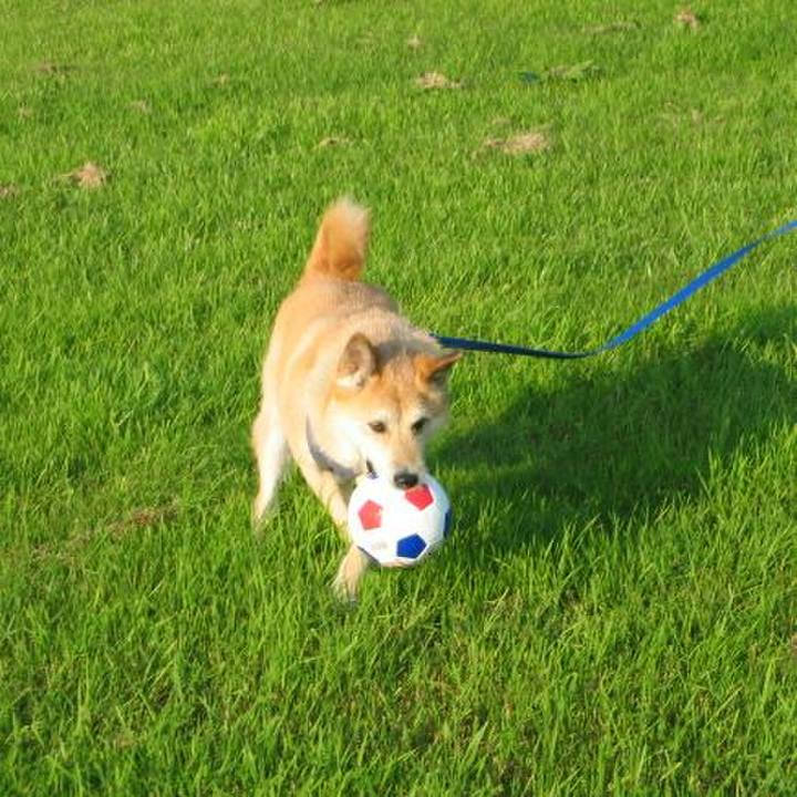 25cf1bd2 e32d 4440 b4e2 124d12d05147