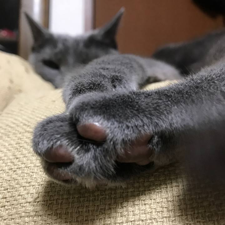 25cf82e6 2144 41ff 8dcc 60e14b9a21b4