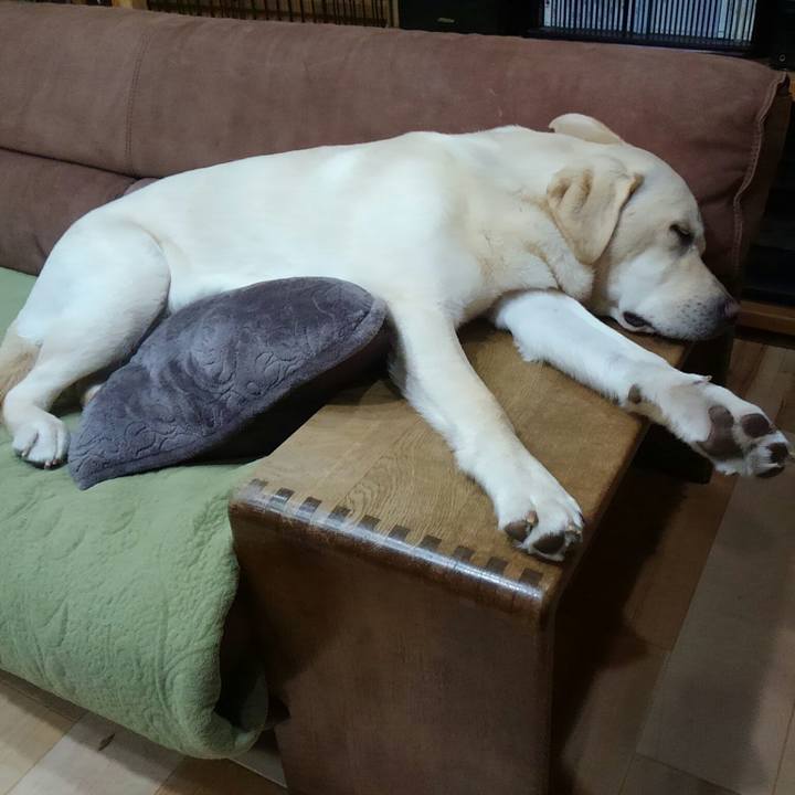 25cf8fae 728b 41c6 9d44 32d81b3a4ed5