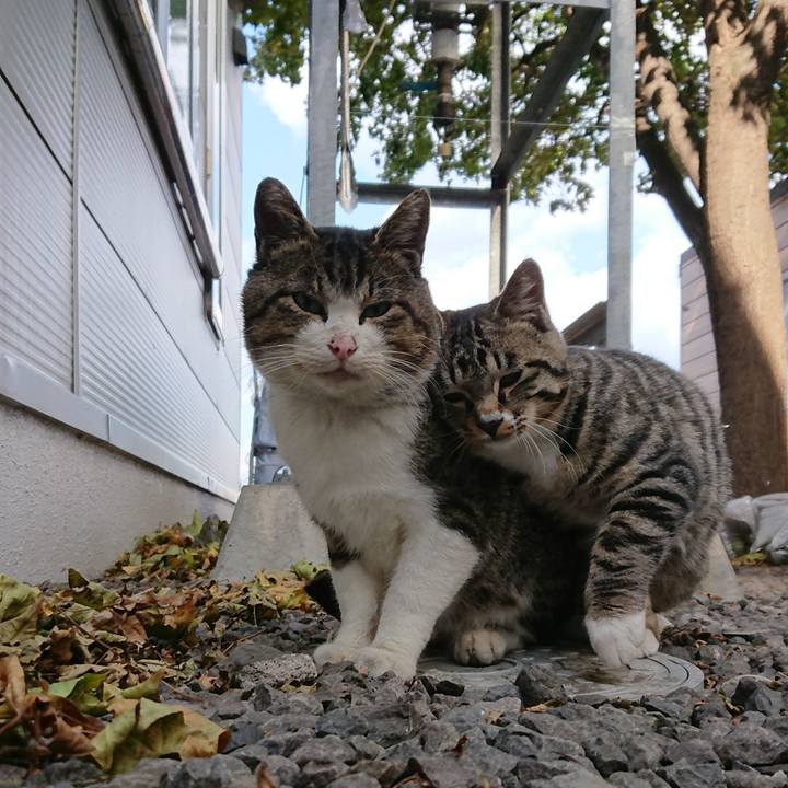 25cfbda1 606d 4e75 9f91 7e22b5149104