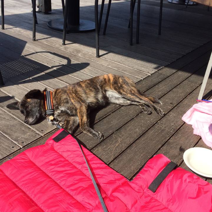 25cff701 b2fe 4475 9b0f cfb10b657a94