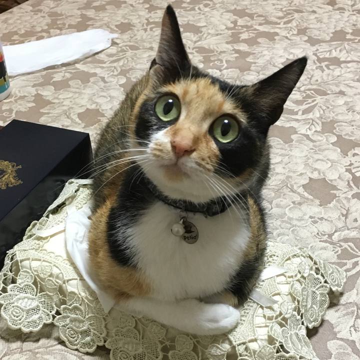 25d03ab2 8587 47f6 b8ed 59cd7eedca97