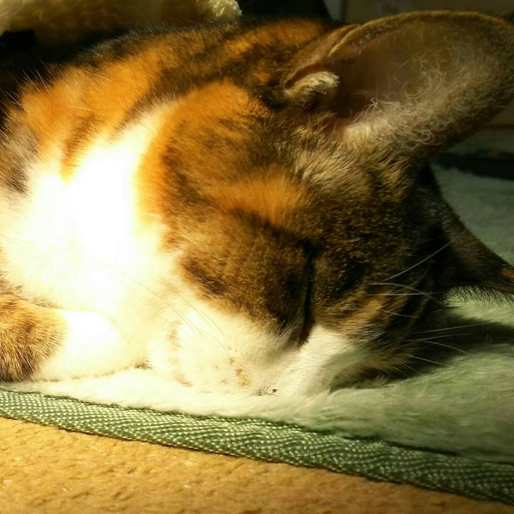 25d1205b b808 4329 9d43 8e6163798538