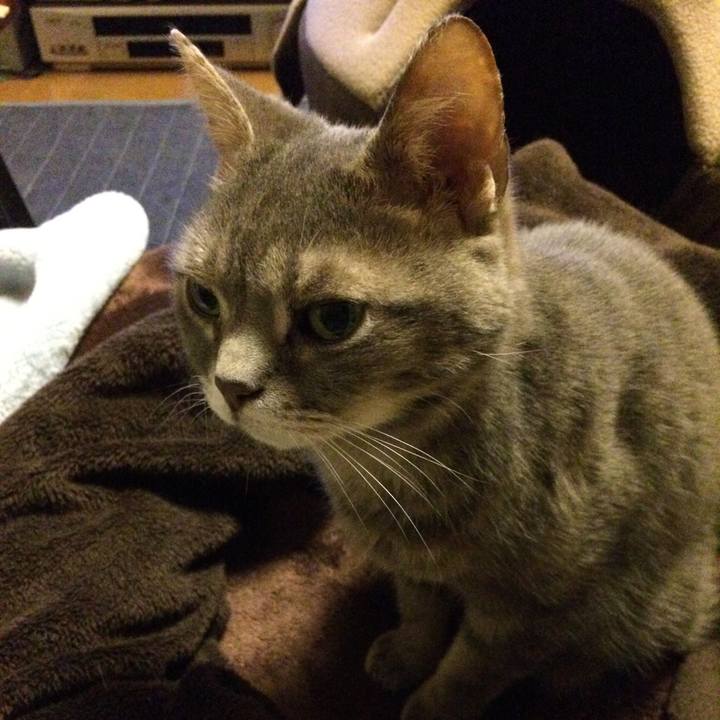 25d13beb 0f15 4bfa 86c0 8fb346a785bf