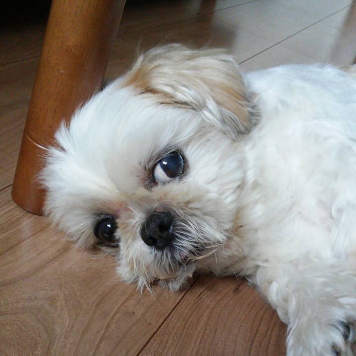 25d15fa3 bf79 4d30 af00 03b7e64c4e1a