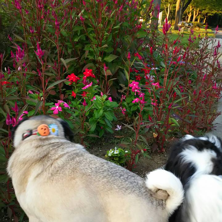 25d1eb34 37cf 4433 b6b8 df884c55e6da