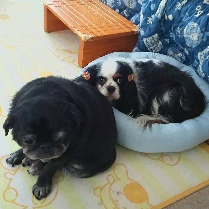 25d28f51 e9c0 4871 bbf3 91ff9bcc26a8