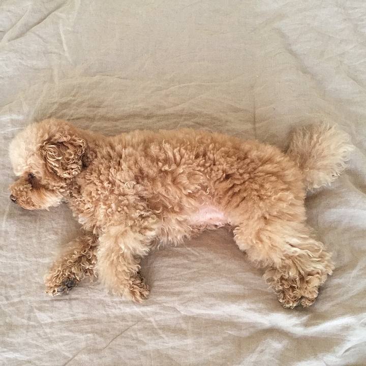 25d2a7e7 6ab5 4927 8ea6 ff66d6f6a543