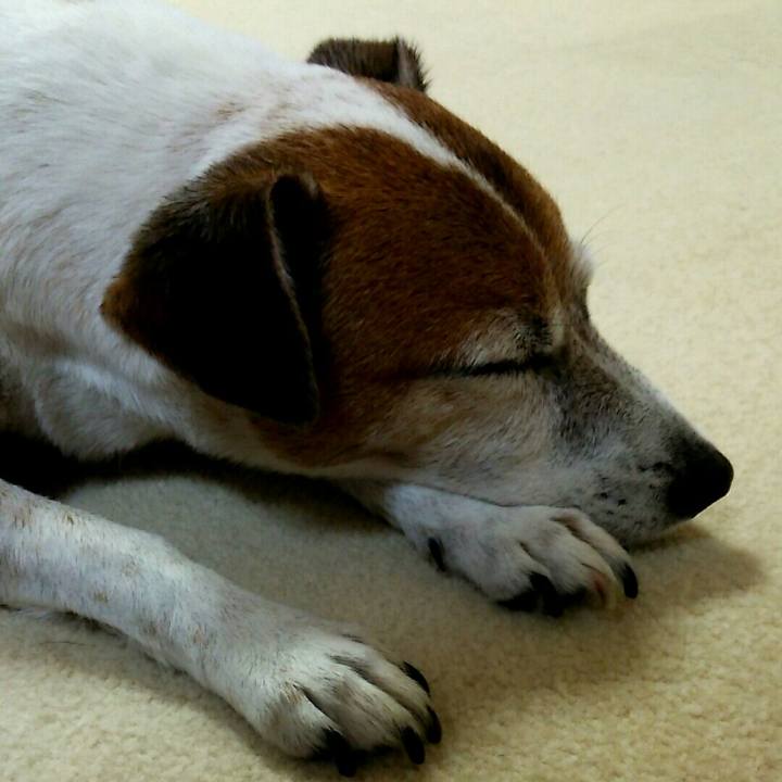 25d33687 f1aa 4ce9 987c b8cbcf99ea31