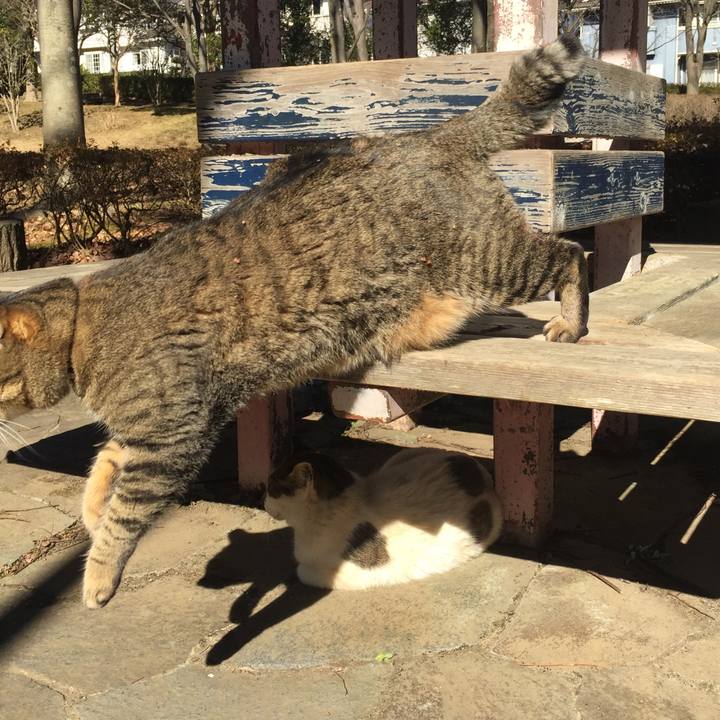 25d35b3d 46a7 439a 9987 72deb7a724c5