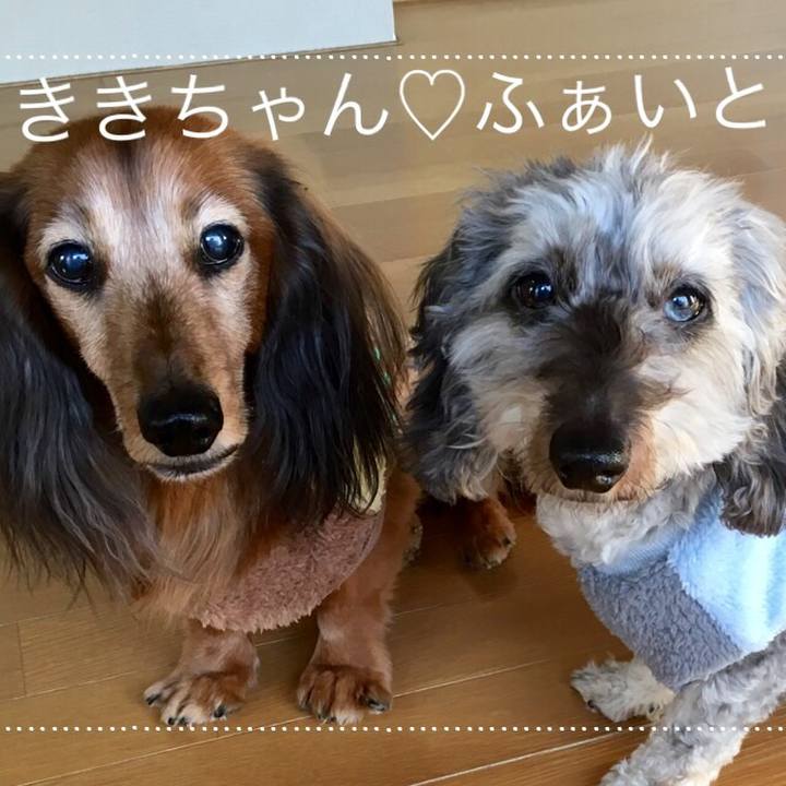 25d36298 bd15 423c 8a6d d07a8834a8e8