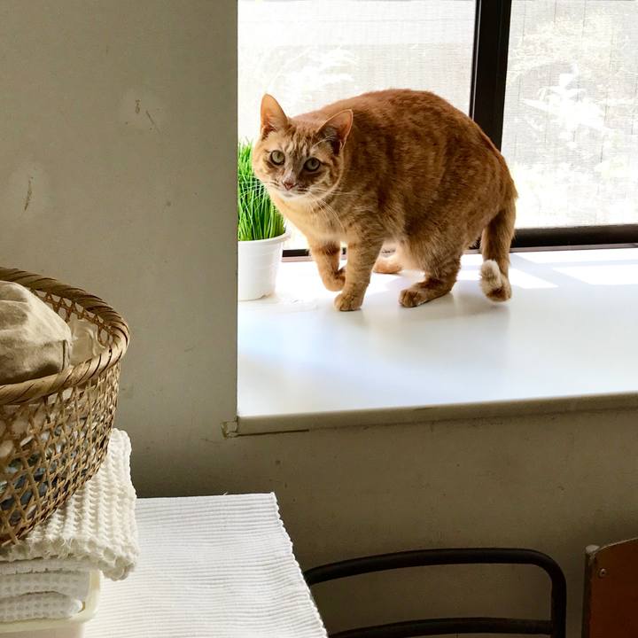 25d37758 f71e 4447 a206 55ae6f3950b6