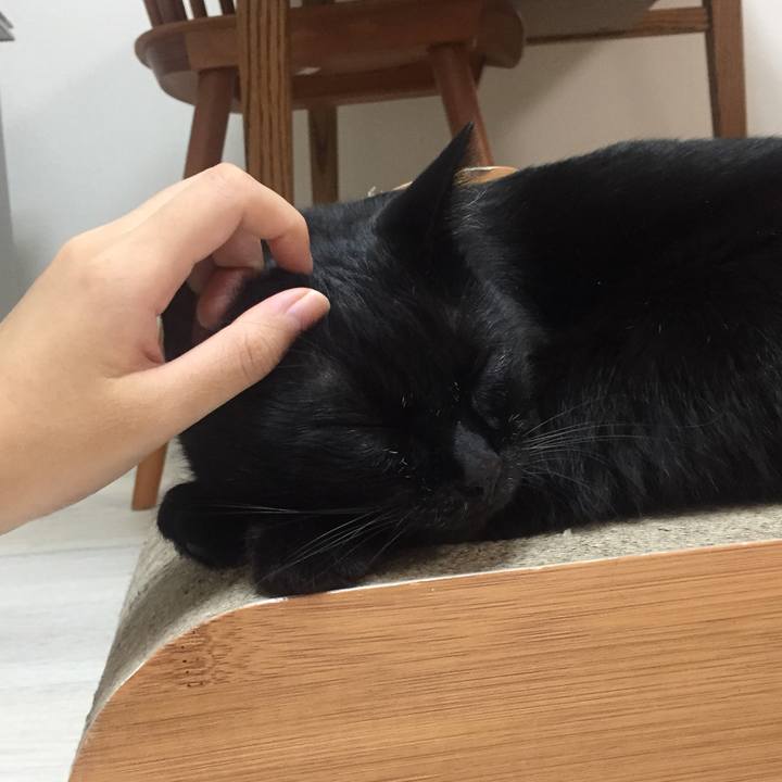 25d41c9c 154e 45c2 9ab2 7a7b2a36b6ae