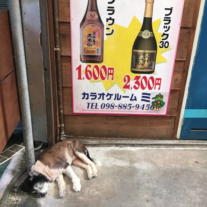 25d4705d a319 44e8 ac94 2f6db57e03dc