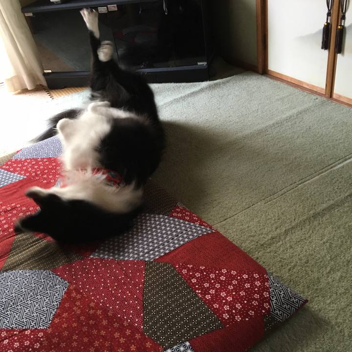 25d52898 3cd5 4d30 a3e1 03b41f7b6280