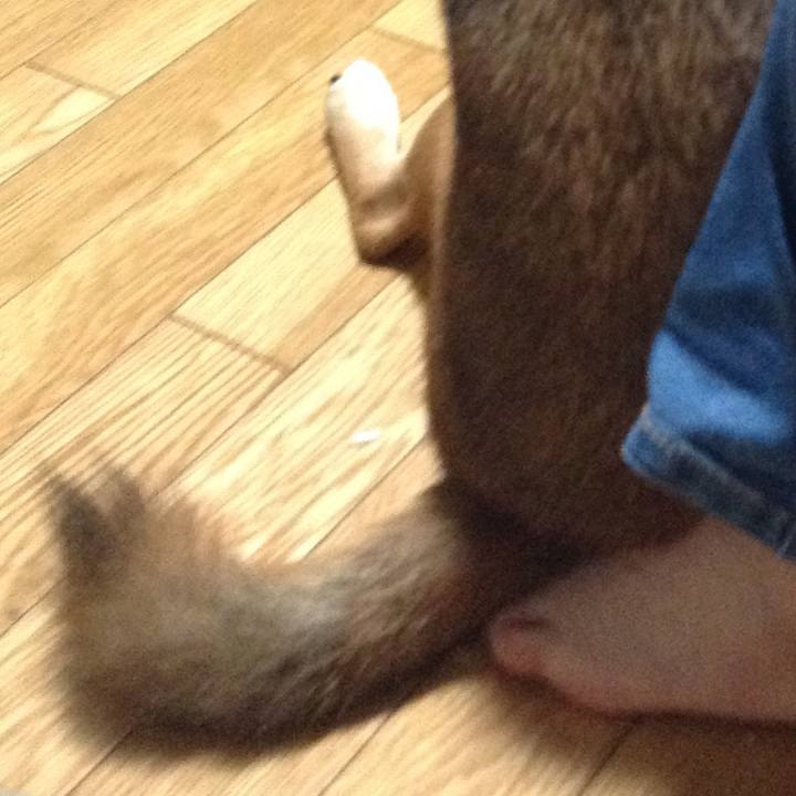 25d573da e8a5 4ea8 8bef 5ac3c48a67ba