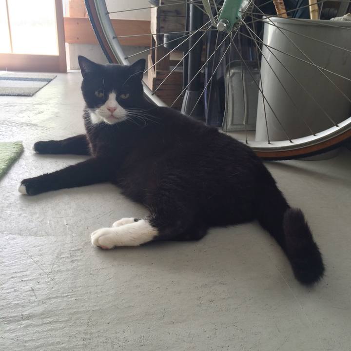 25d5f16d ea6d 4327 8e14 bc5c3e3f5ad6