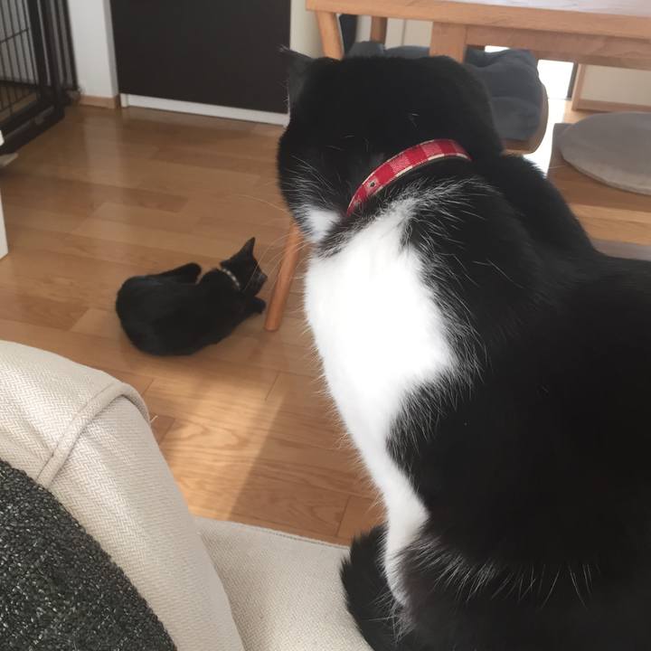 25d5fa90 0cf1 410c 87e8 ee31e93cfdf2