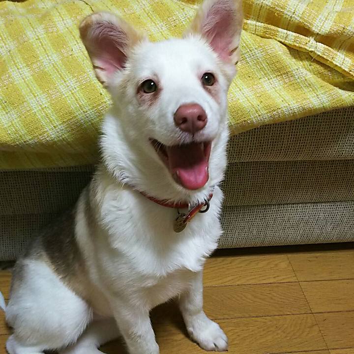 25d62820 0e38 42f6 96cf e6a3654f9423