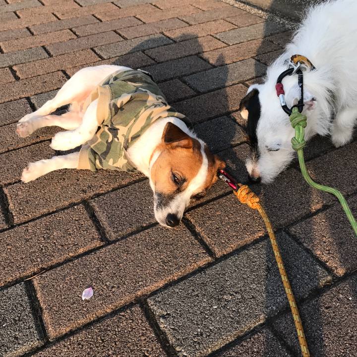 25d62dc1 466a 4bb2 b5d2 01cb7a347e87