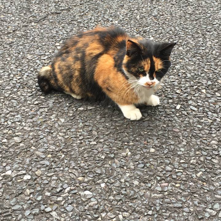 25d650f5 3f90 44d5 aa50 e91ba671db82