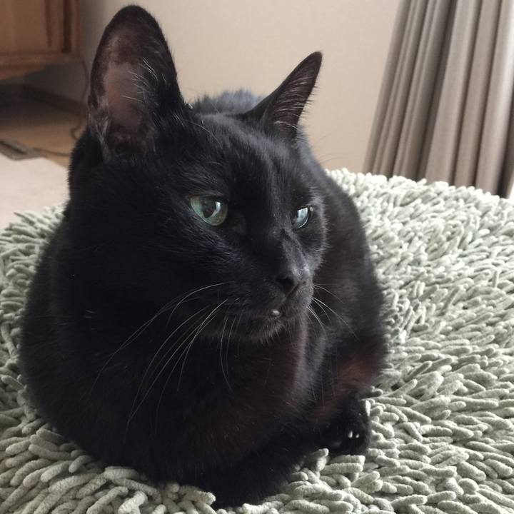 25d67c59 c89f 4737 8c16 389e8e83b058