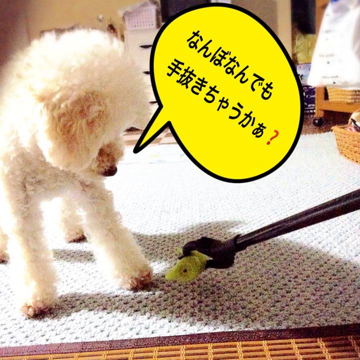 25d70112 c136 44bf a47d 11ff13e7d8fd