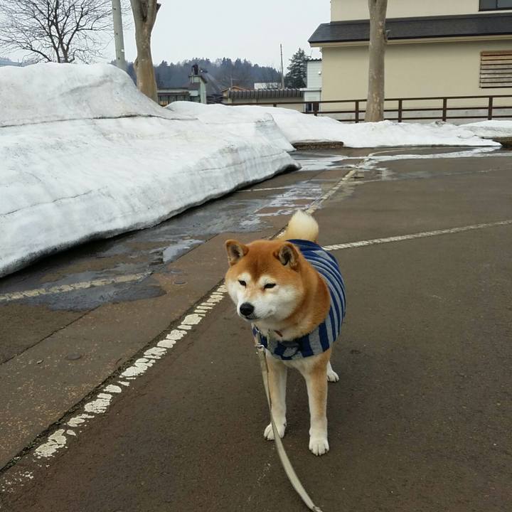 25d72eb6 0852 43fc a03c 33f93c44a437