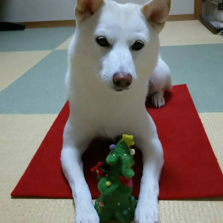 25d86971 2ae7 4aef 8614 f6286dd8b23e