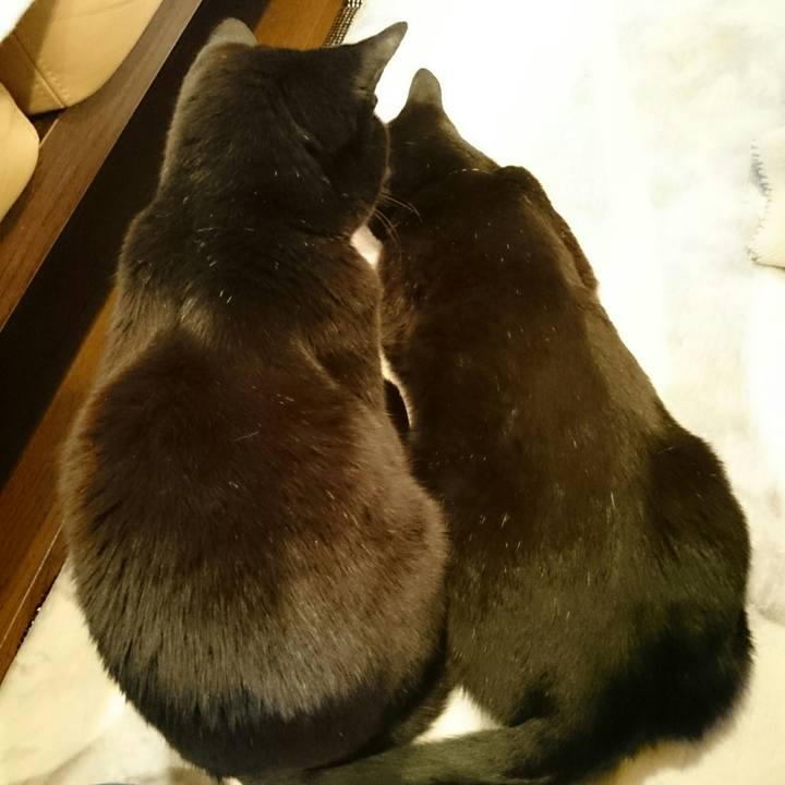 25d87b7c f904 4e8e aa5d 65c4954217bd