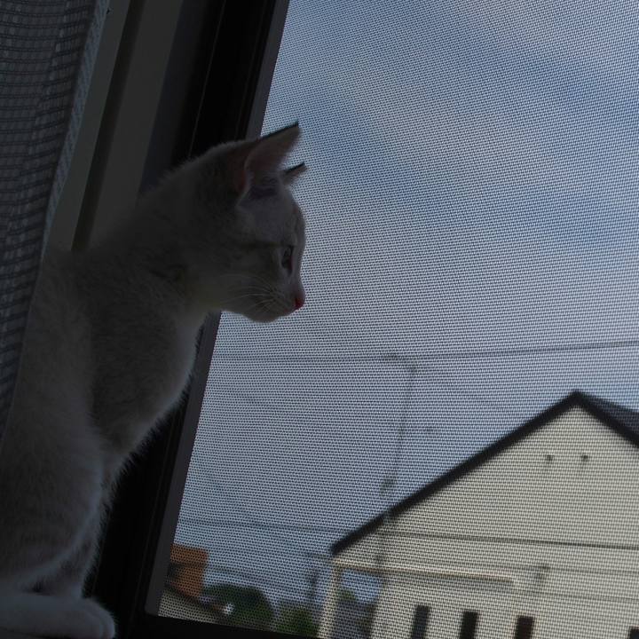 25d8ad86 9335 4253 8b10 43969c55a130