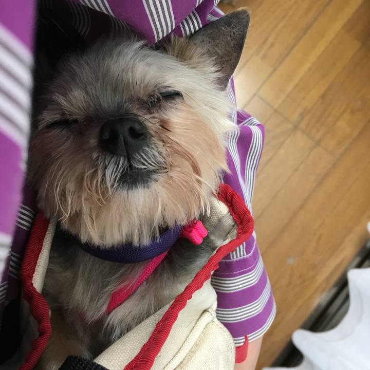 25d95160 7ff3 4011 87b2 46622dba73ed