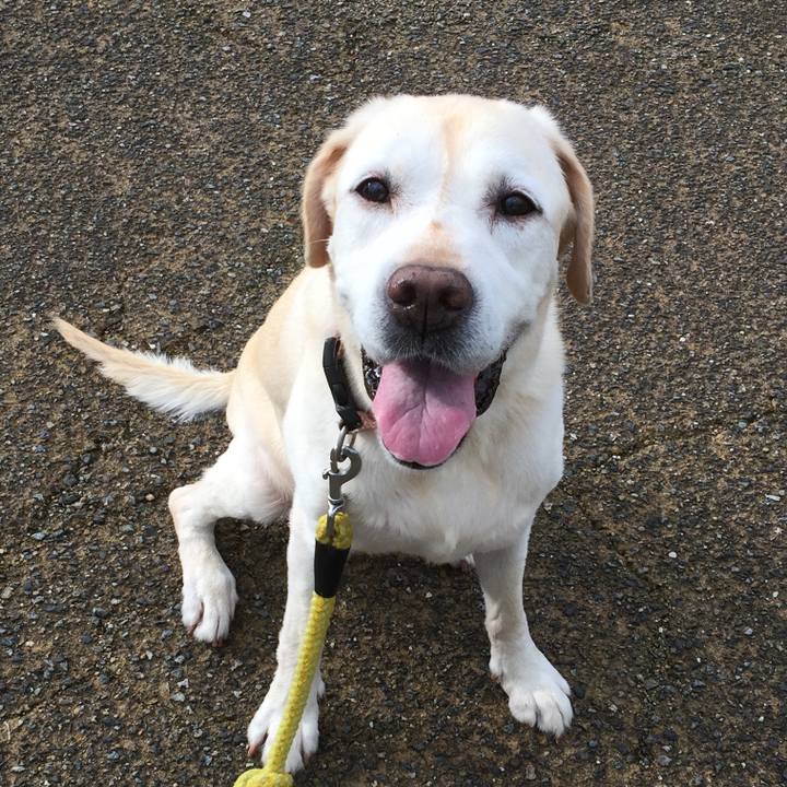 25d996f5 d7df 4fba 8ec4 cc1585a071fa