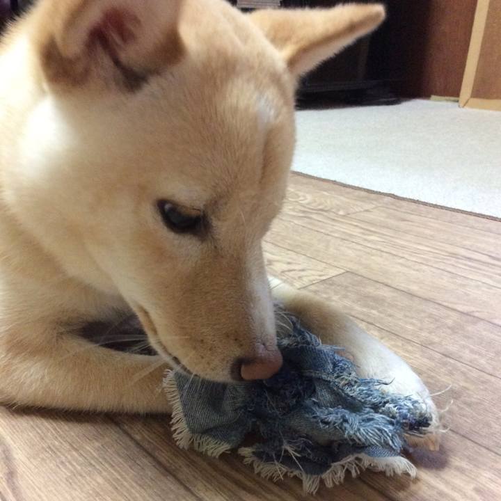 25d9fd84 f0d9 4908 a45c 00b236072843