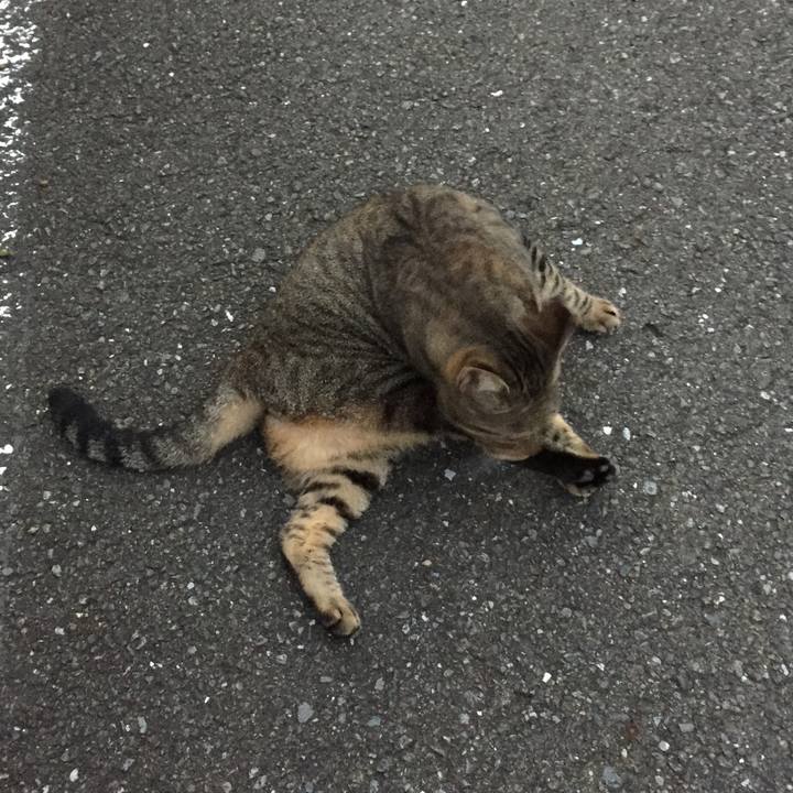 25daad8f 6d15 4d4e bfcc 6842f5fcecdc